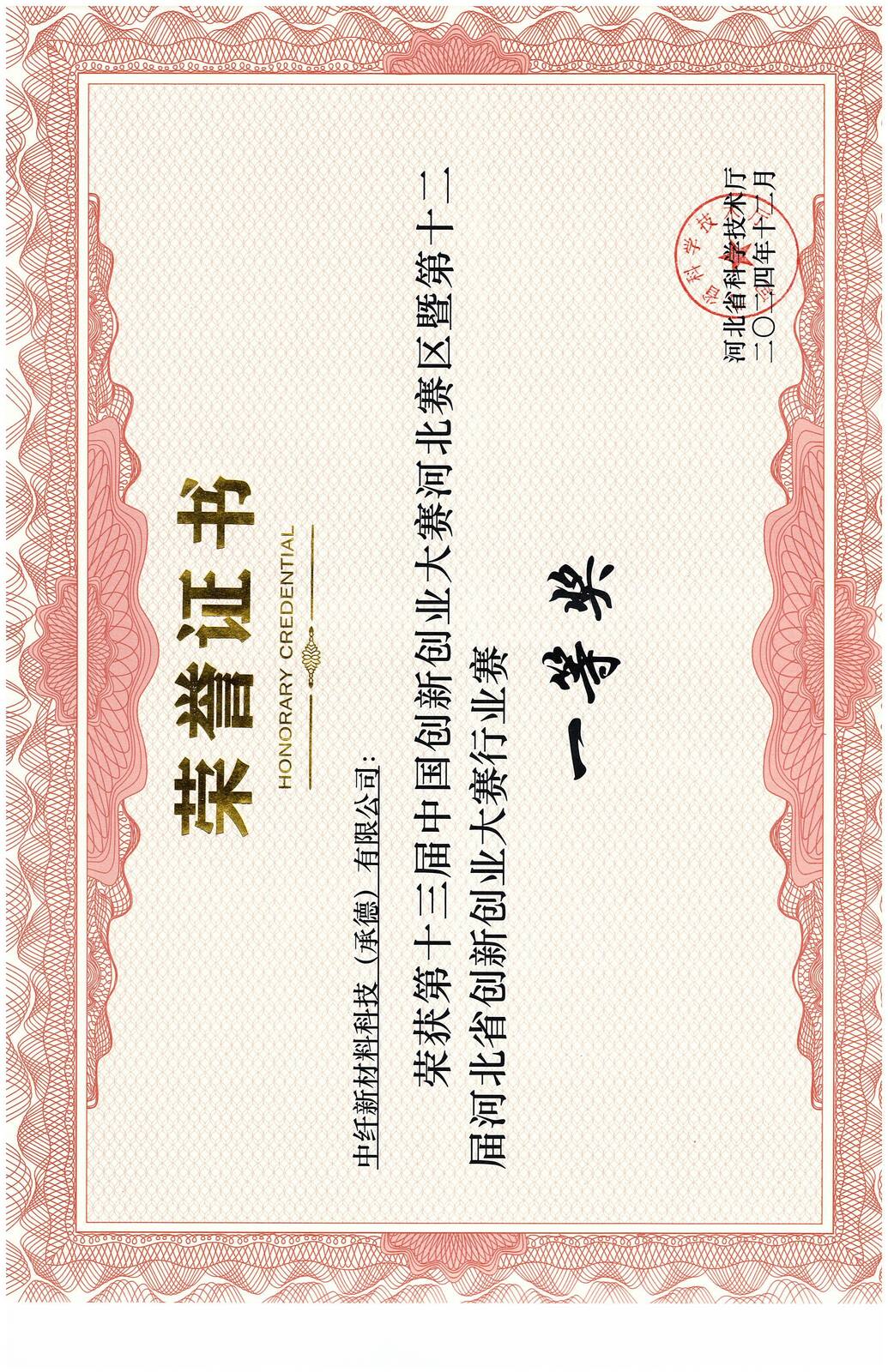 第十三届中国创新创业大赛行业赛一等奖